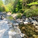 유명산 라온캠핑장 이미지