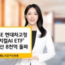 KB운용 ‘RISE 현대차고정피지컬AI ETF’, 순자산 8000억 돌파 이미지