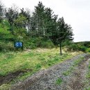 달리오름 이미지