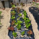 프리미엄 한옥펜션 이미지