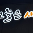 오늘은 새우회 평택점 네이버블로그