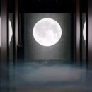 미디어피쉬 이미지