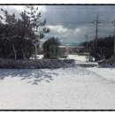 참맛있는밥상 이미지