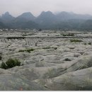 영조농장 이미지