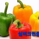 (주)리컴퍼니 이미지