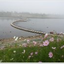 김화초등학교 이미지