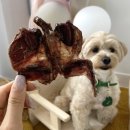 몽스데이 이미지