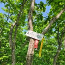 매봉산정상 이미지