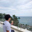 모이핀