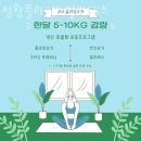 정왕플라잉필라테스