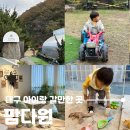 다원농장 | 대구 아이랑 갈만한 곳 실내 팜다원, 다육이 심기와 모래놀이 가능한 자연복합문화공간