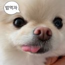 씨유 중구명동점 | *서울 여행*+약간의 일상🧶