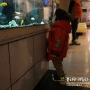 무병장수건강원 | 임신 잉어즙 - 무병장수 잉어곰(용봉곰)