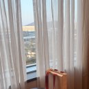 롯데시티호텔 김포공항 LOTTECITYHOTEL GIMPO 후기 🛫