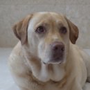 종례농장 이미지