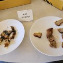 항아리쑥초
