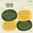 역곡프라자 | 요가 초보의 애니원요가 역곡점 체험 솔직후기 | 힐링요가