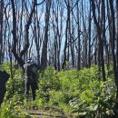 한보축산 이미지