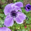 미성동-25 이미지