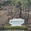 남춘천컨트리클럽 | [라운딩기록] 2025년 봄, 라운딩기록/ 남춘천컨트리클럽/남춘천cc/골프존카운티안성w/아도니스