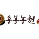 공주알밤농원 이미지