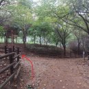 영통 도서관 삼거리 이미지