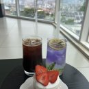 대전 보문산 애견동반 카페 ‘점선면’ 후기｜미드나잇 에이드, 아아 그리고 힐링 한 잔