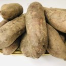 합심농장 이미지