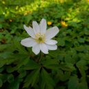 산재 행정사사무소 이미지