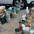 마지리벽화마을 이미지