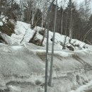 EG투어버스 I코스 | 삿포로 2일차 비에이 투어 후기 | 준페이 식당, 크리스마스트리 코스