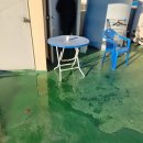 장림무지개 이미지