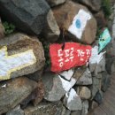 신나라주유소 이미지