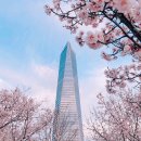 혜광한의원 이미지