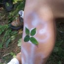 동강마을 이미지