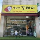 멋내는 강아지 이미지