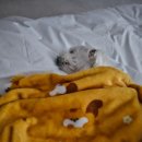 씨유 춘천남산점 이미지