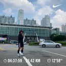 원효자동차클럽 | [도보여행] 국토대장정: 서울에서 부산까지 1