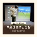 지-트랙 | 울산 골프연습장 트랙맨으로 정밀 분석 가능한 라베골프 연습 후기