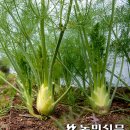 진관농장 이미지