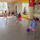 용인대 최강 태권도 도장 이미지