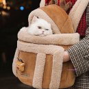 미미애견 이미지