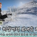 겨울이 6개월이나 이어지는 강원도 오지에서의 서른 번째 겨울나기｜#자연의철학자들 KBS1 매주 금 방송｜[국내여행] 20230217 이미지