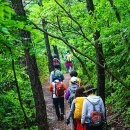 (출발확정)4월8일 금요무박 해남 달마산 옛길 7부 능선 진달래 향기를 따라 걷는 (달마고도) 스탬프 투어 트레킹~강진만 생태공원탐방 이미지