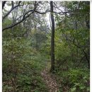 세븐일레븐 묵현천마점 | [20161016]남양주 천마산 팔자산행(천마산 정상에 두 번 오르고 천마산역 원점회귀) - 2부