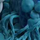 빠른케어 이미지