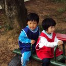 대마초등학교 이미지