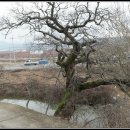 함계정사 이미지