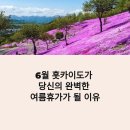 항공카정비센타 | 2025년 6월 홋카이도 여행 완벽 정리! 날씨, 숙소, 액티비티, 맛집 총정리
