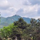 11545-01-53-04 | 장군봉과 청룡산 산행후기